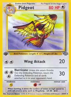 Pidgeot - Jungle
