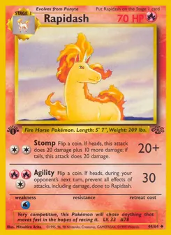 Rapidash - Jungle