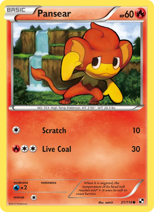 Pansear - Black & White Pokemon Card