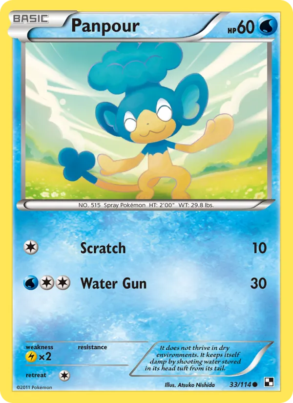 Panpour - Black & White Pokemon Card