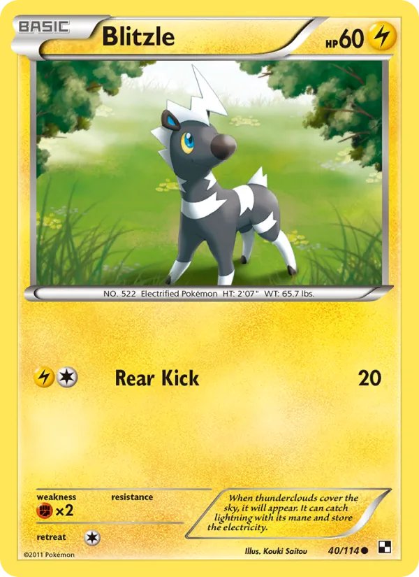 Blitzle - Black & White Pokemon Card