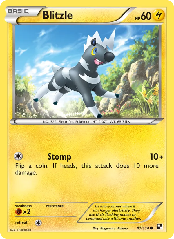 Blitzle - Black & White Pokemon Card