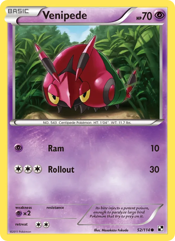 Venipede - Black & White Pokemon Card