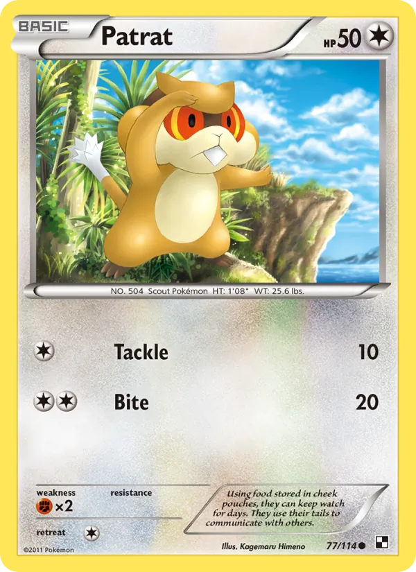 Patrat - Black & White Pokemon Card
