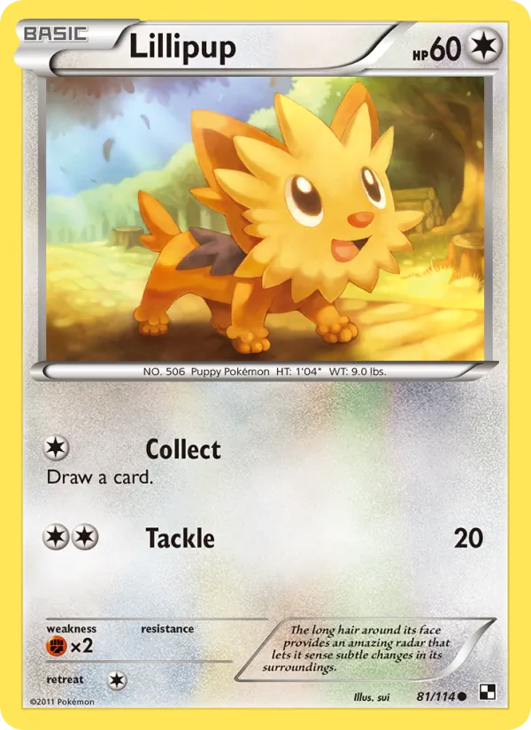 Lillipup - Black & White Pokemon Card