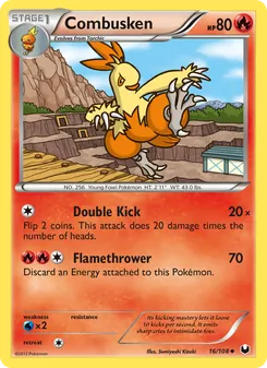 Combusken - Dark Explorers