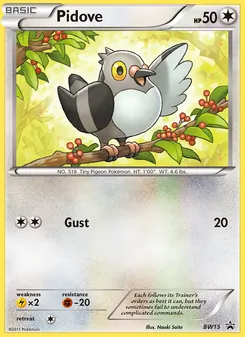 Pidove - BW Black Star Promos