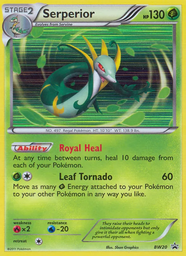 Serperior - BW Black Star Promos Pokemon Card