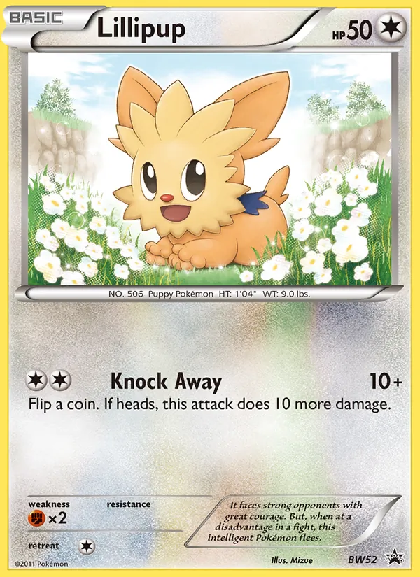 Lillipup - BW Black Star Promos Pokemon Card