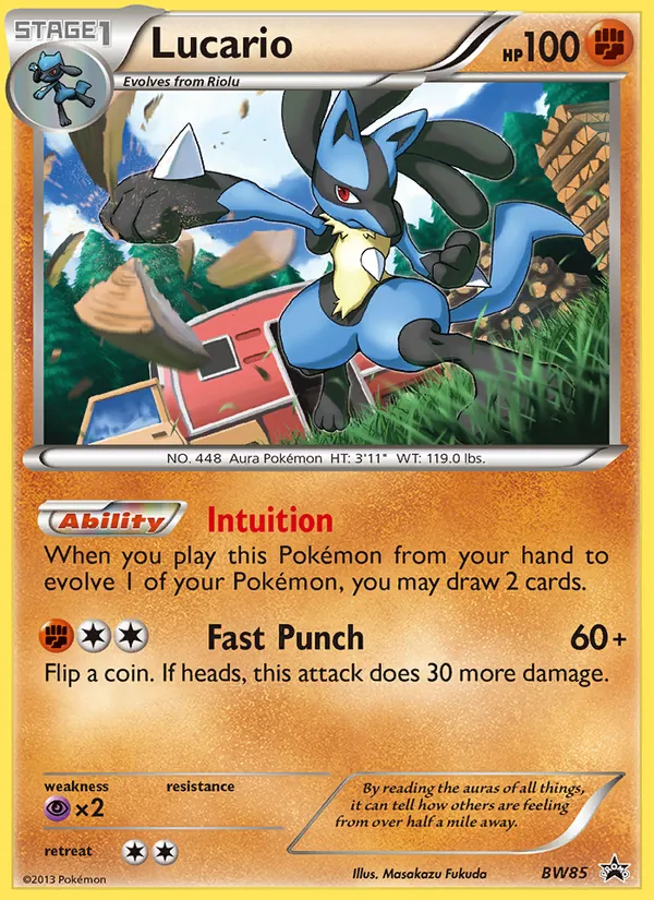 Lucario - BW Black Star Promos Pokemon Card
