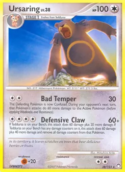 Ursaring - Mysterious Treasures