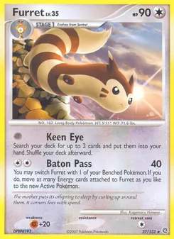 Furret - Secret Wonders