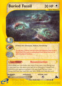 Buried Fossil - Skyridge