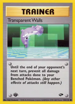 Transparent Walls - Gym Challenge
