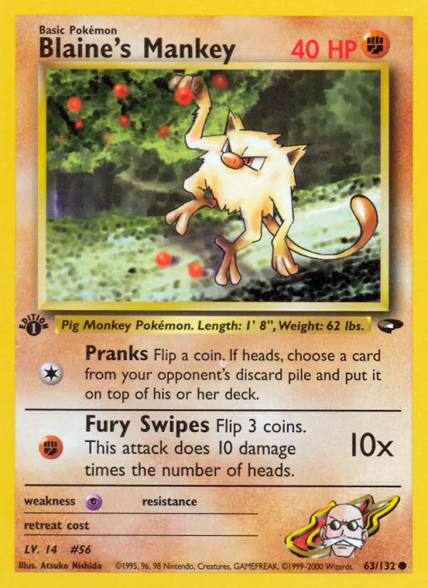 Blaine's Mankey - Gym Challenge Pokemon Card