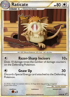 Raticate - Undaunted