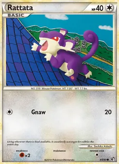 Rattata - Undaunted