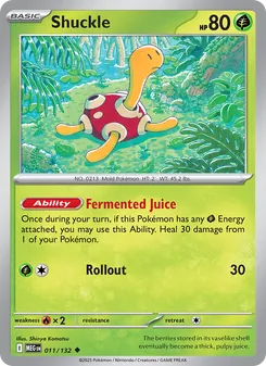 Shuckle - Mega Evolution
