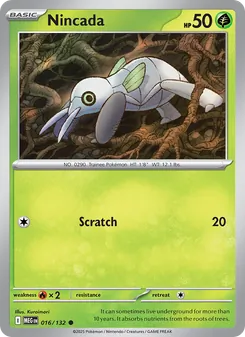 Nincada - Mega Evolution
