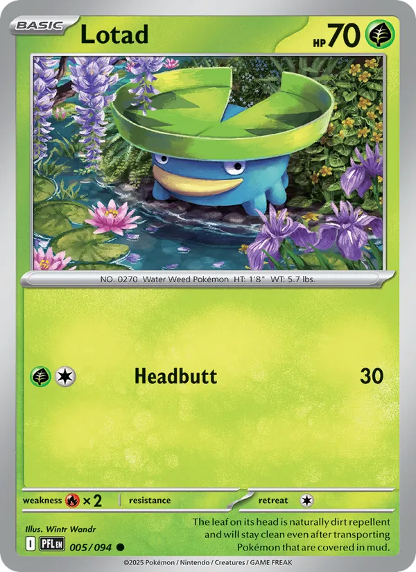 Lotad - Phantasmal Flames Pokemon Card