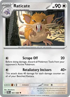 Raticate - Perfect Order
