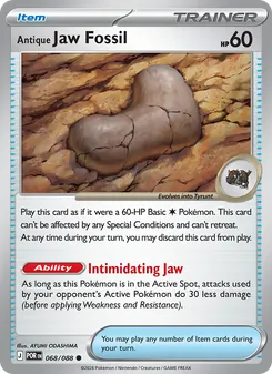 Antique Jaw Fossil - Perfect Order