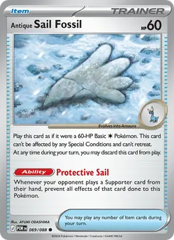 Antique Sail Fossil - Perfect Order