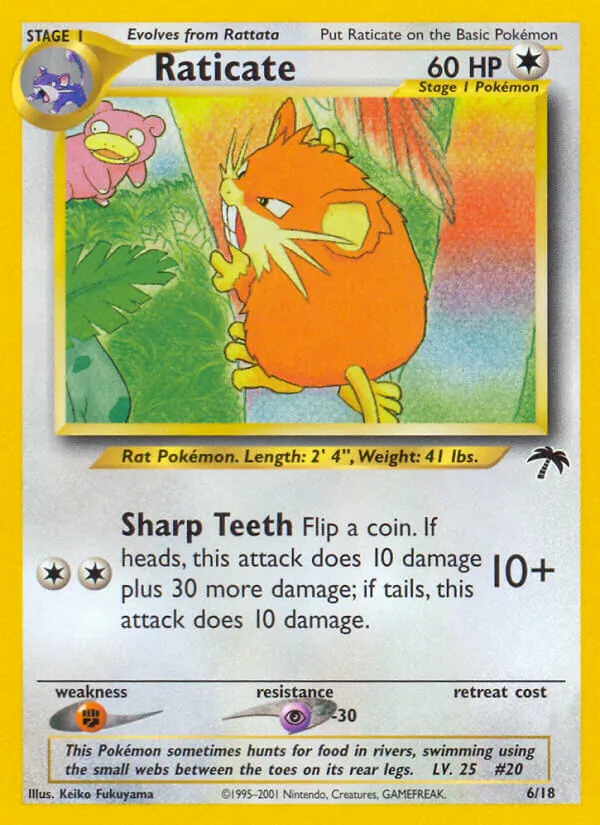 Raticate - Southern Islands Pokemon Card