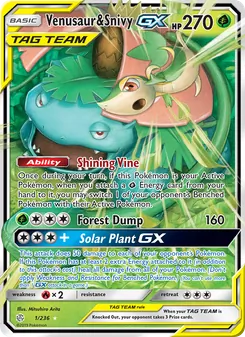 Venusaur & Snivy GX - Cosmic Eclipse