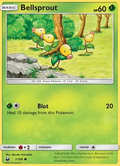 Bellsprout - Celestial Storm