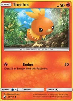 Torchic - Celestial Storm