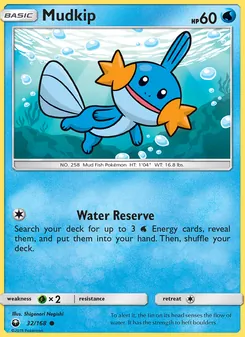 Mudkip - Celestial Storm