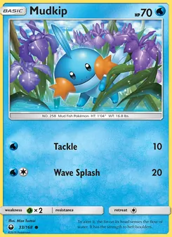 Mudkip - Celestial Storm