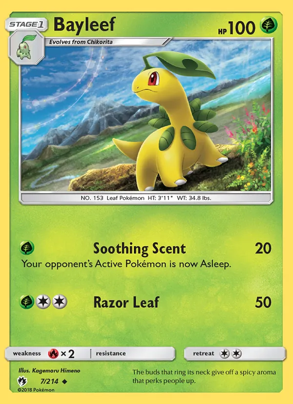 Bayleef - Lost Thunder Pokemon Card