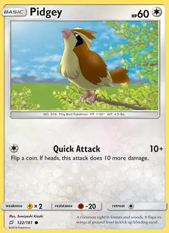 Pidgey - Team Up
