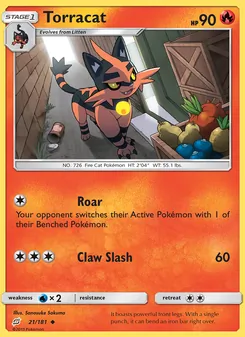 Torracat - Team Up