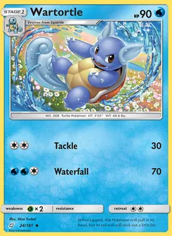 Wartortle - Team Up