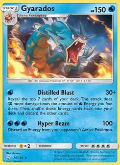 Gyarados - Team Up