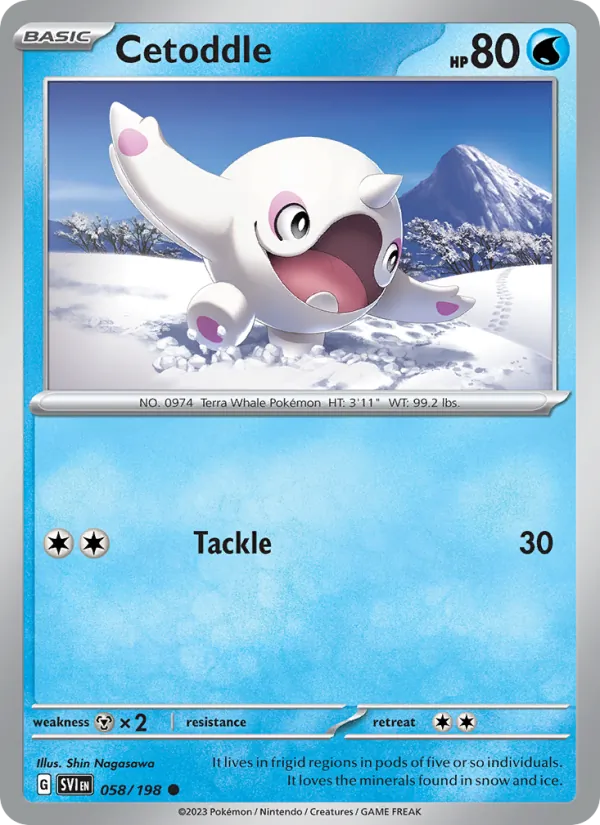 Cetoddle - Scarlet & Violet Pokemon Card