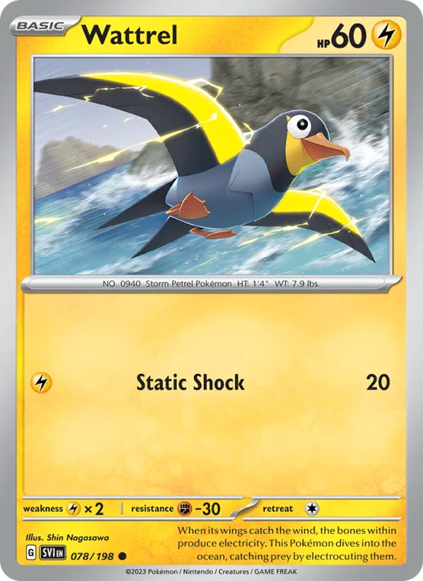Wattrel - Scarlet & Violet Pokemon Card
