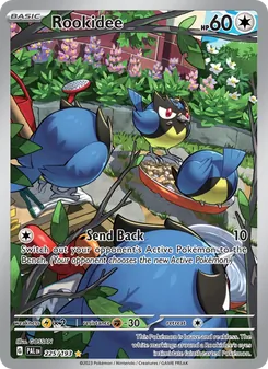 Rookidee - Paldea Evolved