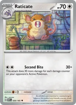 Raticate - 151