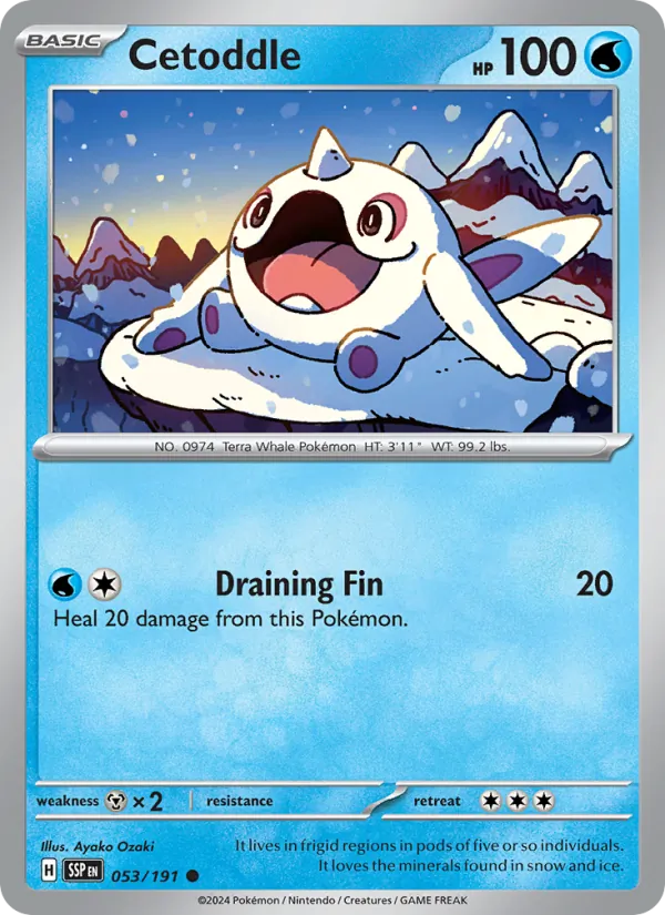 Cetoddle - Surging Sparks Pokemon Card