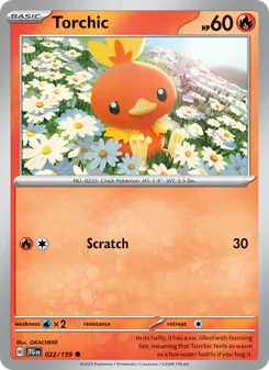 Torchic - Journey Together