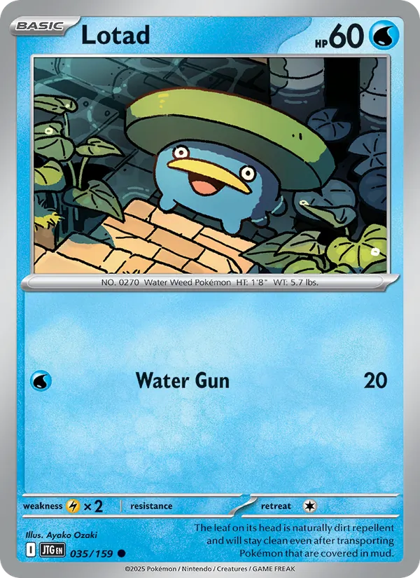 Lotad - Journey Together Pokemon Card