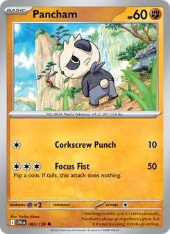 Pancham - Journey Together