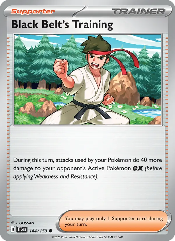 Black Belt's Training - Journey Together Pokemon Card