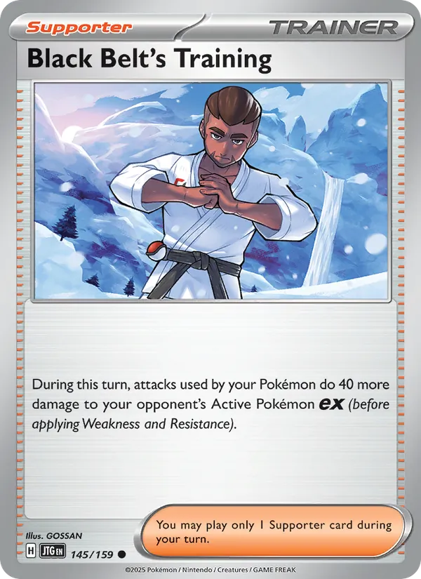 Black Belt's Training - Journey Together Pokemon Card