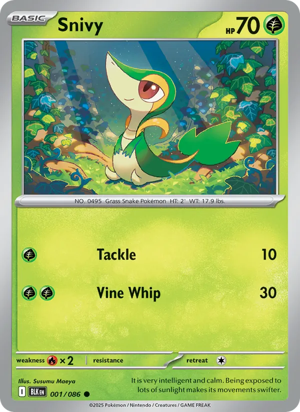 Snivy - Black Bolt Pokemon Card
