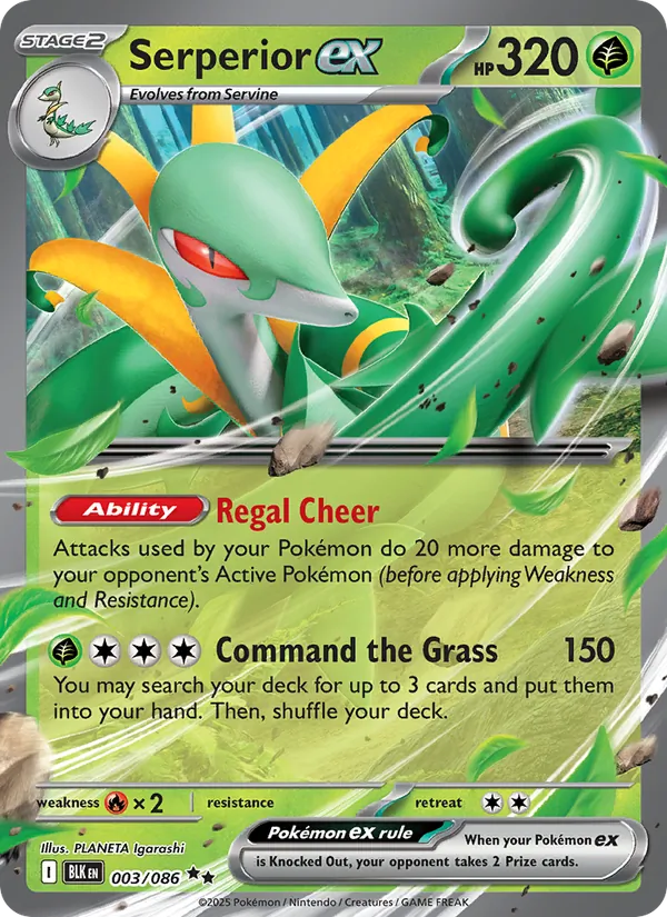 Serperior ex - Black Bolt Pokemon Card